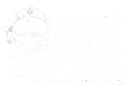 Blue Shark